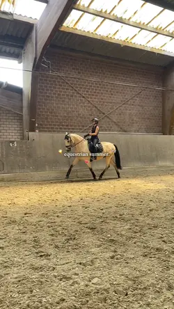 EQUESTRIAN SUMMER🎠☀️🍉