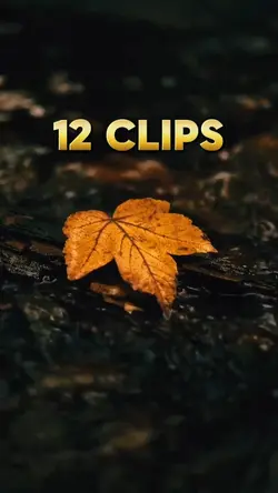 12 clips