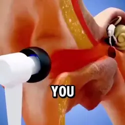 ear is healthy?