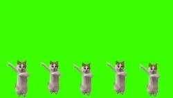 kucing joget ver16:9