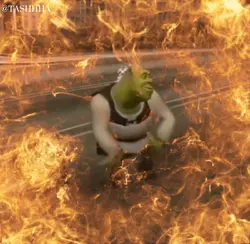 DIVA SHREK