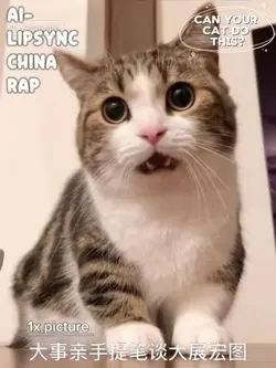 AI LIPSYNC CHINA RAP