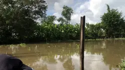 Cảnh sông nước