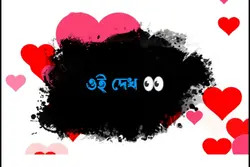 মাইয়া শাড়ি পরছে শাড়ি
