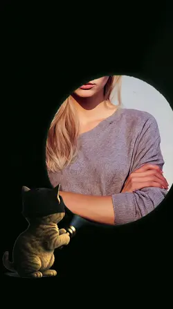 Burglar cat