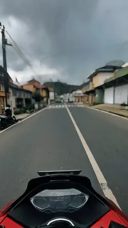 Dj panda slowmo