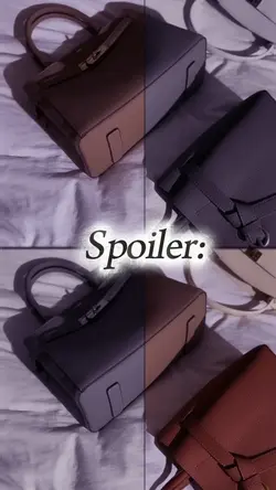 Spoiler bolsas 