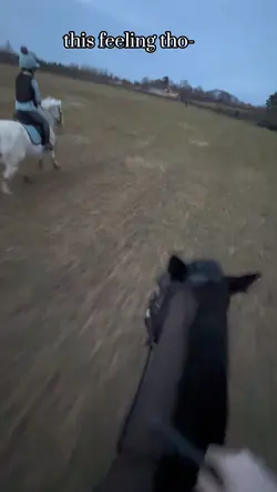 galloping 🔛🔝