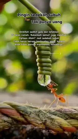 sedekah subuh