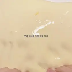 캡컷 체크