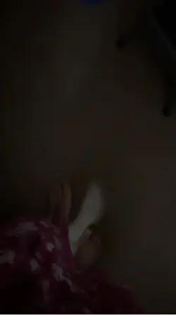 My Cat