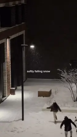 softly falling snow