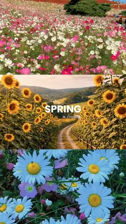 spring is coming 
