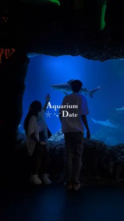 Aquarium Date