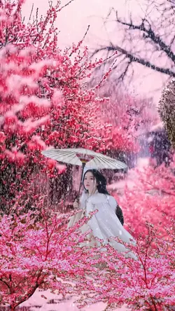 Tuyết rơi