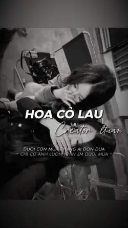 Hoa cỏ lau