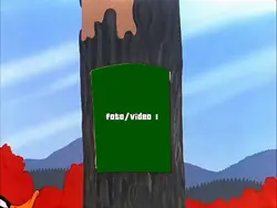 ficaram surpreso?