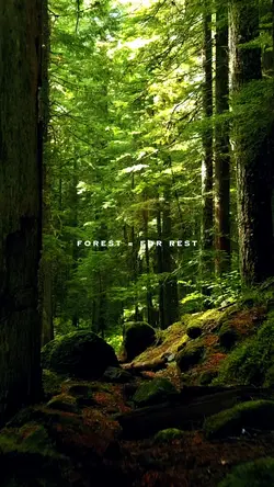 Forest=For Rest