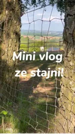Vlog z stajni 🥹✌️