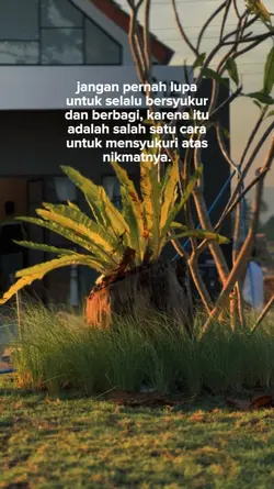 bahan sŵ