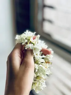 ফুল মানে শান্তি 