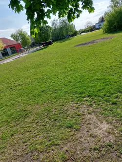 Leben