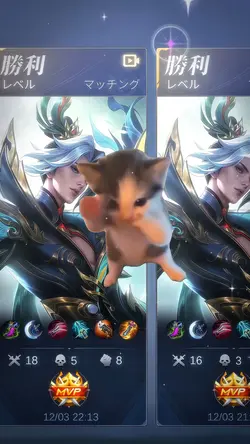 KICAU MANIA KUCING