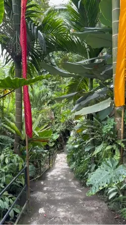 Into The Jungle