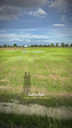 บ่โสดบ่อนุญาตให้จีบ