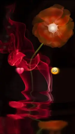 fyp