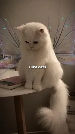 and also u.