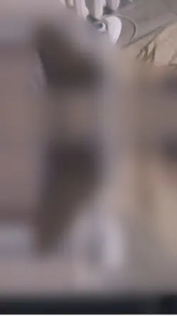 Ui Reveal pop