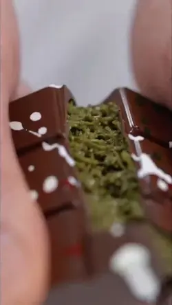 snack video template