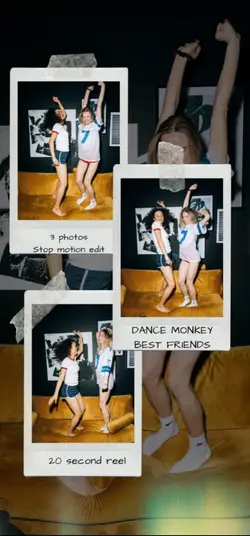 Dance Monkey