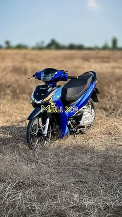 Mẫu xe 