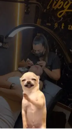Vení