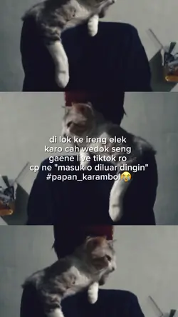 katakata 