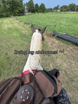 Hehe 🙃 