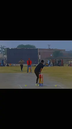 cricket short
