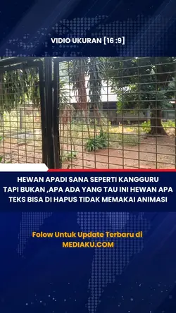 ANTI RIBET BIRU 1