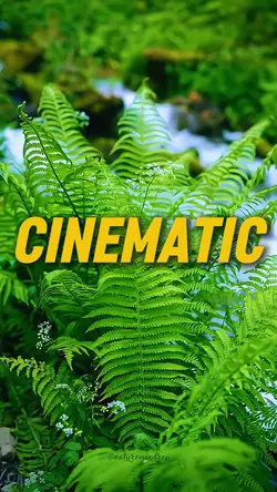 cinematic 13 clips