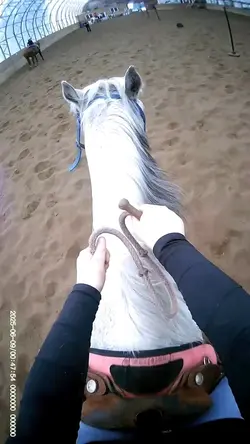 Gallop on Gracie!