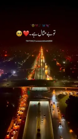 tu bemisal hai