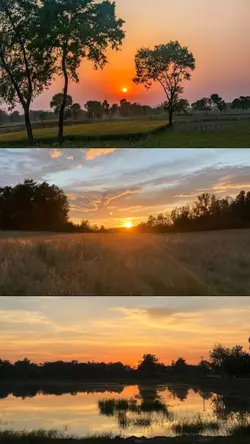 Sunrise