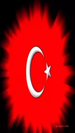 Vatan bayrak