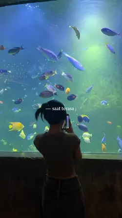 vlog lirik