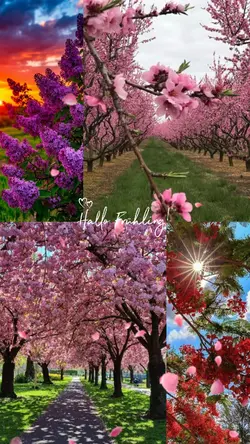 Hello Frühling 