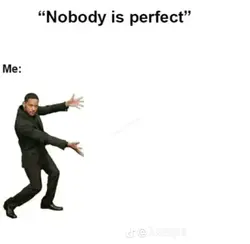 nobody is perfect 