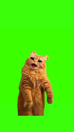 Cat Singing APT