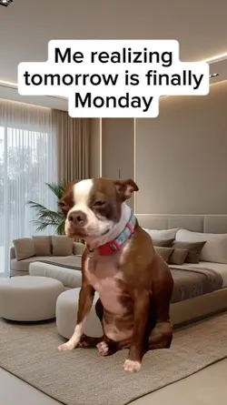 crying dog